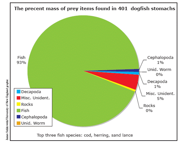 bluefin tuna graph